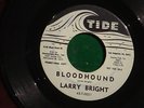 LARRY BRIGHT   BLOODHOUND 45 Promo Copy R&B ROCKER * HEAR IT