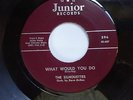 The Silhouettes 45 record on Junior, 396, 