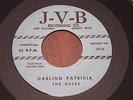 The GALES 45 Darling Patricia J-V-B RARE Detroit doo wop All is Well JVB grail 7