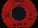 RUBY RAE ROBERSON: What Will I Do 45 Soul