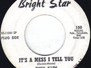 Ricky Allen 45 It's A Mess I Tell You / Skate Boo-Ga-Loo (Northern) 1967 Bright