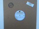 The Gaslight Anthem - Sink or Swim Vinyl Test Pressing - SideOneDummy