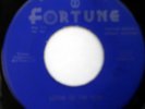 The DELTEENS 45 Listen To The Rain FORTUNE label DOO WOP mg136