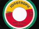 Salsa Dura 45 RUDY CALZADO Tumba La Cana/El Comediante Sonotropic HEAR