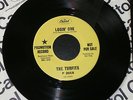RARE OHIO GARAGE PUNK 45 THE TURFITS-LOSIN' ONE CAPITOL PROMO 60s REBELLION HEAR