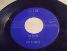 THE SAVAGES RARE 45 RPM ON DUANE RECRODS-SHE'S GONE/NO NO NO