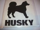 HUSKY if dreams were made 7