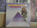 PETE SAMSON, ROAD MAP TO NOWHERE - GESTATION LP G-553-S FOLK PSYCH PRIVATE PRESS