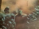 STEELY DAN-KATY LIED 1975 VINYL ALBUM-ABC RECORDS