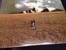 John Lennon Mind Games Original 1973 Pressing LP Record Sealed Mint Condition