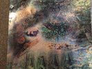 Pink Floyd Saucerful Of Secrets
