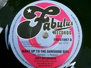 JOEY DELORENZO- WAKE UP TO THE SUNSHINE GIRL( NORTHERN SOUL )