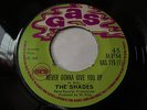THE SHADES - NEVER GONNA GIVE YOU UP - 45 - 1969 - REGGAE - GAS - RARE - GAS 119