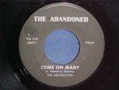 Hear Rare Chicago garage/The Abandoned/Come On Mary/visual VG- plays far better