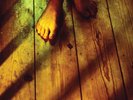 ELIZABETH FRASER - Moses 12