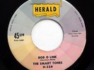 SMART TONES 45 Bob o Link / Ginny HERALD VG++  Doowop mg258