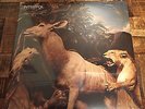 Interpol (Bright Lights/Antics/El Pintor) - Our Love To Admire Vinyl -Rare- New