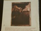 Pixies - Surfer Rosa LP Record - BRAND NEW - 180 Gram Audiophile Vinyl, Numbered