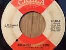 SHIRLEY WAHLS northern soul 45 Because I Love You / I Don't Know   Calla