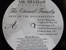 THE ETERNAL FAMILY - SONS OF THE RESURRECTION - PRIVATE BALTIMORE RAP - LISTEN