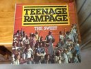 VINYL  33RPM album   THE SWEET -TEENAGE RAMPAGE in great condition