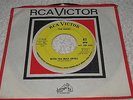 Rokes - When The Wind Arises / The Works Of Bartholomew - PROMO - psych - LISTEN