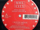 KENNY DIXON JR. - SOUL SOUNDS - 90'S DEEP HOUSE 12