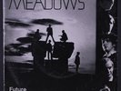 MEADOWS: Future / Once I Went Down The Street 45 (Austria, wrinkled PS w/ 2