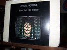 CHRIS SQUIRE sealed LP Fish Out Of Water YES-solo ATLANTIC sd-18169 PROG psych