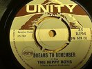 THE HIPPY BOYS...DREAMS TO REMEMBER.. RARE  UK ISSUE UNITY UN 528