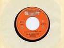 Musterplatte / Promo The Skyliners - Pennies from Heaven / I'll be seeing you