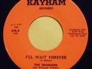 The Shamans 