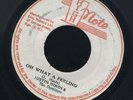 1690 JUSTIN HINDS & DOMINOES-OH WHAT A FEELING-HIGH NOTE REGGAE 45 7