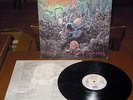 LP SUFFOCATION Effigy of the forgotten (Rc 91 HOLLAND)1st ps death metal RARE EX