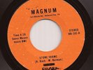 RARE Private Bay Area Modern Soul Rock 45 FEVER RAINBOW Stone Shame MAGNUM Hear