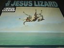 THE JESUS LIZARD Down (LP) (deluxe edition - remastered - gatefold sleeve)