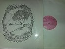 MEGAN THOMAS  A Late Lark Singing RARE UK PRIVATE PRESS Female Vocal 1969 SIGNED