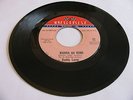 BUDDY LAMP - WANNA GO HOME / YOU'VE GOT THE LOVING TOUCH - WHEELSVILLE U.S.A.