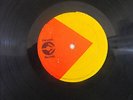 Dub Specialist ?– Bionic Dub  / LP /G++  / Plain Disco Sleeve