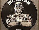 SKINKORPS - MR CLEAN PIC DISC LP oi isd rebelles snix c84 evil skins