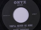 MARK ANDREWS: You'll Never Be Mine / The Whipporwill 45 Oldies