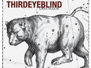 Third Eye Blind - Ursa Major [Vinyl New]