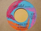 Parliaments - I Wanna Testify / I Can Feel The Ice Melting - 45 RPM