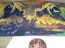 Toad   -  Same  -   Akarma, Prog. Rock LP 33 U-min.