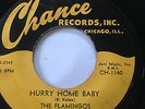 RARE ORIGINAL DOO-WOP 45/ THE FLAMINGOS  