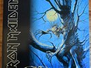 IRON MAIDEN* KOREAN* FEAR OF THE DARK 2 x 12