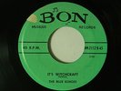 The Blue Echoes 45 IT'S WITCHCRAFT / DEBBIE   Bon VG+ to VG++ Lansing Michigan