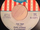 PARK AVENUE PLAYGROUND 
