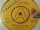 Jimmy Burns - I Really Love You (GRP118 DEMO)
