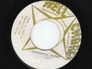 I-Roy - Universal Natty - WICKED